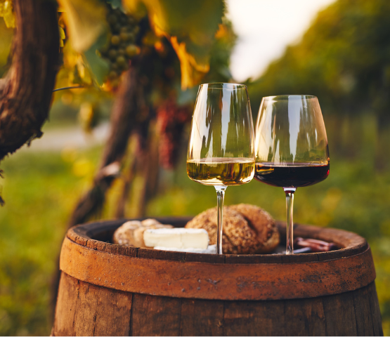 winery insurance in Ontario